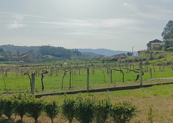 別荘 La Favorita *