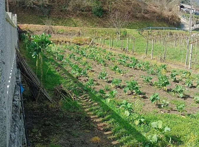 La Favorita * ポンテベドラ